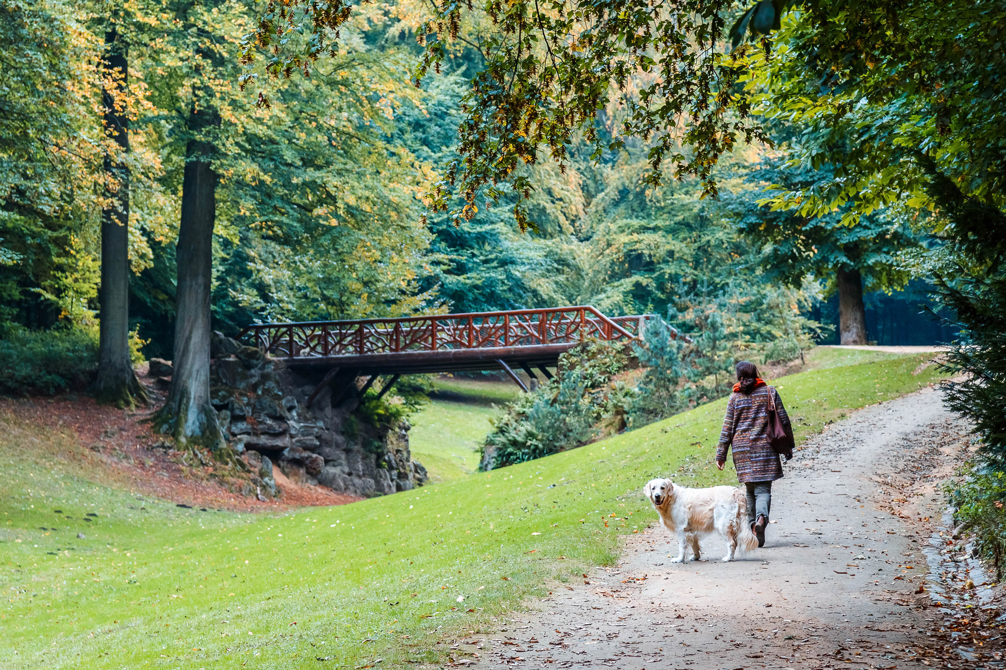 Woman and dog walking in Park Bois de La Cambre, Sonian forest, Brussels, Belgium